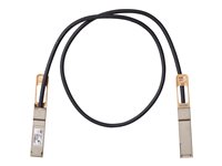 Cisco Netzwerk-Direktanschlusskabel – 1 m, Twinaxial