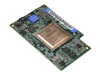 IBM Hostbus-Adapter – 8Gb Fibre Channel, PCI Express