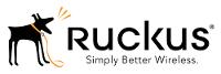 Ruckus Wireless Lizenz-Upgrade – 50 zusätzliche Zugangspunkte