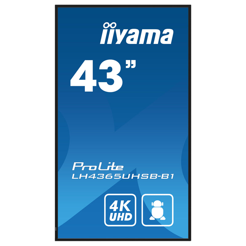 Iiyama 43" 4K Monitor – Klare Bilder, weite Blickwinkel