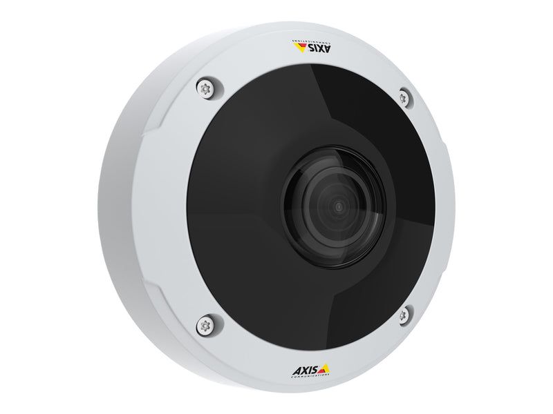 Axis Netzwerk-Kamera – 360° Rundumsicht, wetterfest