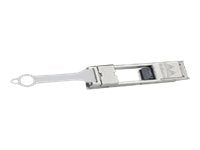 Nvidia Netzwerkadapter – 10 Gigabit Ethernet, SFP+ zu QSFP