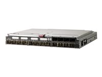 HP Enterprise Fibre Channel Modul – 16 Anschlüsse, schnelle Datenübertragung
