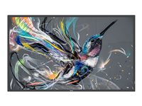 Philips 86" 4K Display – Großes Bild, Android-Betriebssystem