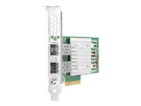 HP Enterprise Netzwerkadapter – 10 Gbps, 2 Anschlüsse