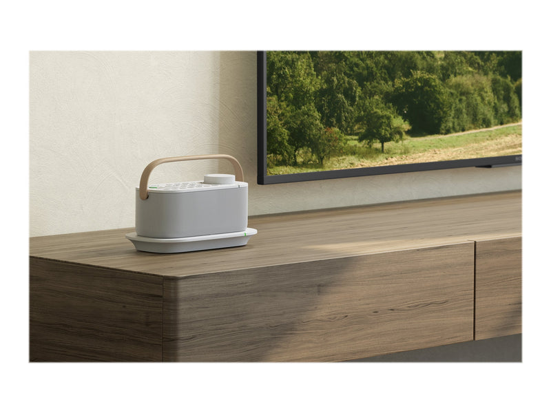 Sony Kabelloser TV-Lautsprecher – Mit Fernbedienung und Tragegriff