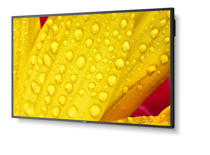NEC 65" Display – 4K UHD, LED-Hintergrundbeleuchtung
