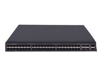 HP Enterprise Switch – 48 Anschlüsse, schnelle Datenübertragung