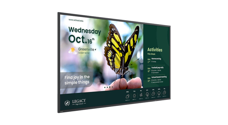 BenQ 43" Display – 4K-UHD, LED-Hintergrundbeleuchtung