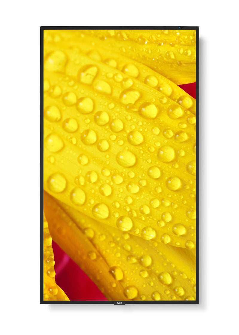 NEC 65" Display – 4K UHD, LED-Hintergrundbeleuchtung