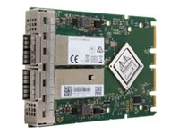 Nvidia Netzwerkadapter – 100Gb Ethernet, 2 Anschlüsse