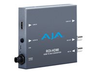 AJA HDMI-Video-Konverter – für präzise Bildanpassung