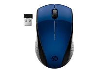 HP Kabellose Maus – Ergonomisch & USB-Empfänger, Blau