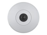 Axis Mini-Dome Kamera – 360° Panorama, Innenraum-Überwachung