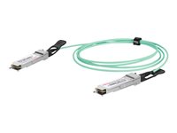 Digitus Netzwerk-Kabel – 100 Gbps, 1 m, Glasfaser