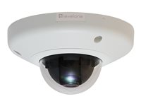 LevelOne Dome-Netzwerkkamera – Farbe, vandalismusgeschützt