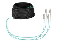 EFB Elektronik Glasfaser-Trunkkabel – 40m, OM3 für schnelle Datenübertragung