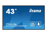 Iiyama 43" 4K Monitor – Klare Bilder, weite Blickwinkel