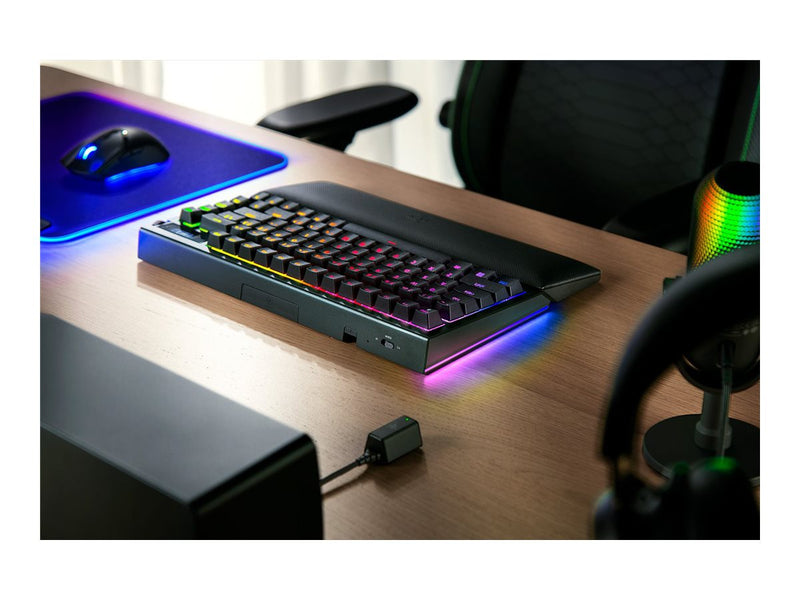 Razer BlackWidow V4 Pro Tastatur – OLED-Display, kabellos