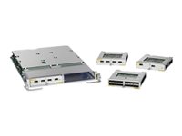 Cisco Netzwerk-Modul – 80 GB für schnelle Datenübertragung