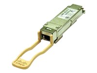 Cisco Netzwerkmodul – 40 Gbps für schnelle Verbindungen
