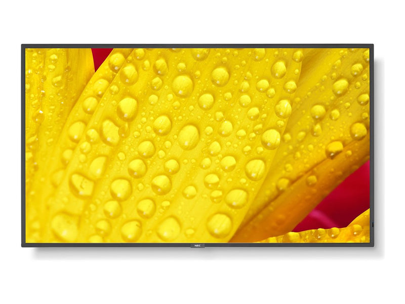 NEC 65" Display – 4K UHD, LED-Hintergrundbeleuchtung