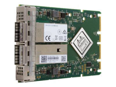 Nvidia Netzwerkadapter – 100Gb Ethernet, 2 Anschlüsse