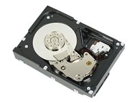 Dell 4 TB Festplatte – Schneller Zugriff, Hot-Swap-fähig