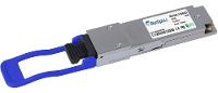 CBO Netzwerkmodul – 100G Geschwindigkeit, Dell EMC kompatibel
