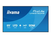 Iiyama 65" 4K-Display – Ideal für Präsentationen und Meetings