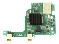 Lenovo Netzwerkadapter – 10 GbE, 2 Anschlüsse