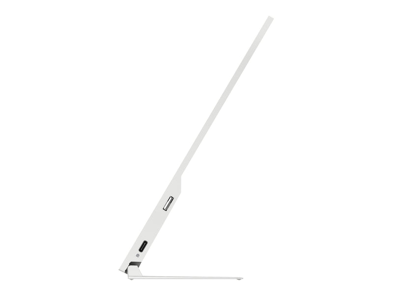 HP E14 Tragbarer Monitor – Full HD, USB-C-Anschluss
