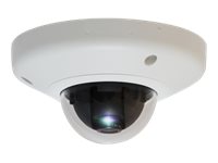 LevelOne Dome-Netzwerkkamera – vandalismusgeschützt, kabelgebunden