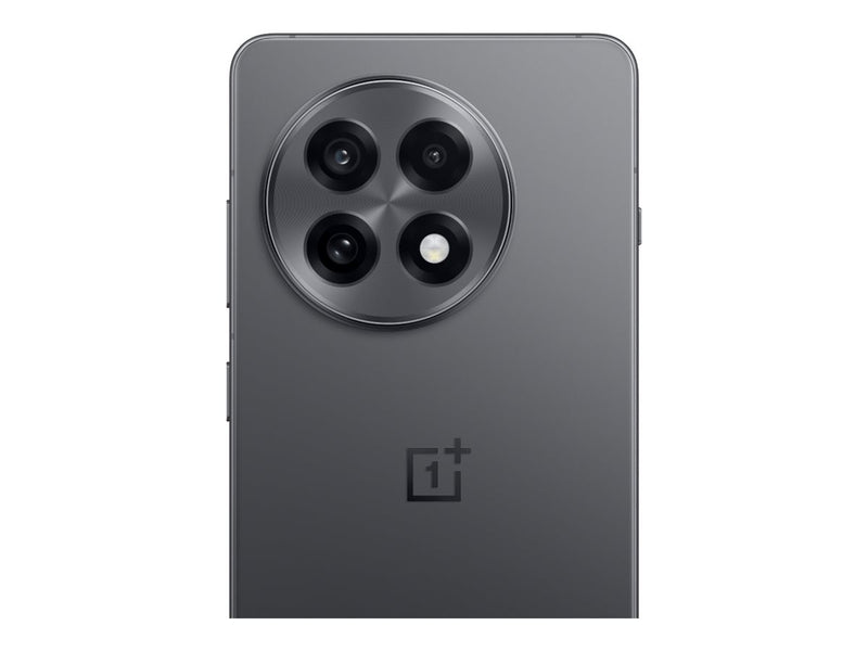 OnePlus Smartphone – 5G, 256 GB Speicher
