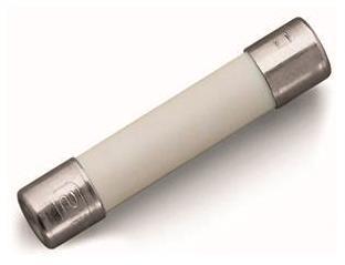WAGO Sicherung 10A – Schutz für elektrische Geräte