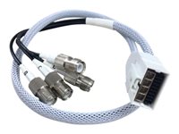 Cisco Smart Antenna Connector – Verbessert WLAN-Signal