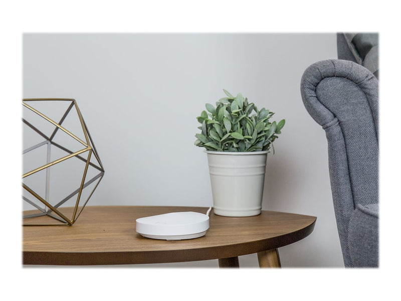 TP-Link Mesh-WLAN-System – Stabiles WLAN für das ganze Büro