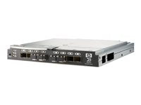 HP Enterprise SAN Switch – 24 Anschlüsse, 8 Gbit/s für schnelle Netzwerke