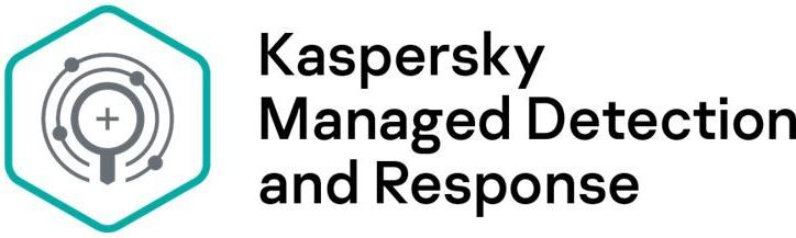 Kaspersky Sicherheitssoftware – Schutz für 250-499 Geräte