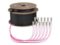 EFB Elektronik Glasfaserkabel – 50 m, schnelle Datenübertragung