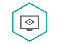 Kaspersky Sicherheitssoftware – Schutz vor gezielten Angriffen