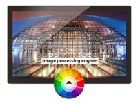 Braun Photo Digitaler Fotorahmen – 24" Display, USB & HDMI