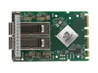 Nvidia Netzwerkadapter – 2 Ports, 100 Gb/s Ethernet