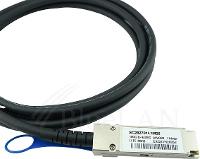 Bluelan Netzwerk-Kabel – 100G auf 4x25G für schnelle Datenübertragung