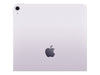 Apple iPad Air 13" – Großes Display, 1 TB Speicher