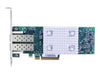 Lenovo Dual-Port Netzwerkadapter – 16Gb Fibre Channel, Energiesparend