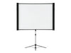 Epson Projektor-Leinwand – 80" Bilddiagonale, vielseitige Formate