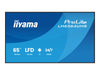Iiyama 65" 4K-Display – Ideal für Präsentationen und Werbung