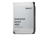 Synology Enterprise Festplatte – 12 TB Speicher für NAS-Systeme