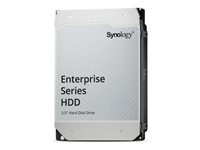 Synology Enterprise Festplatte – 12 TB Speicher für NAS-Systeme